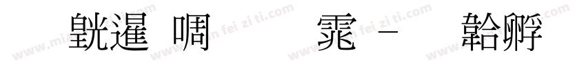 荃湾新细明体字体转换