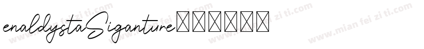 enaldystaSiganture字体转换