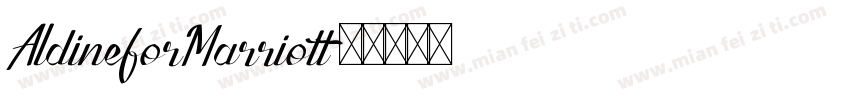 AldineforMarriott字体转换