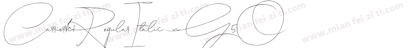Carrierfc1RegularItalic-nG5O字体转换