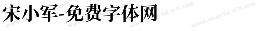 宋小军字体转换