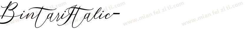 BintariItalic字体转换