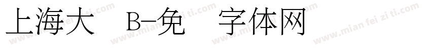 上海大众B字体转换