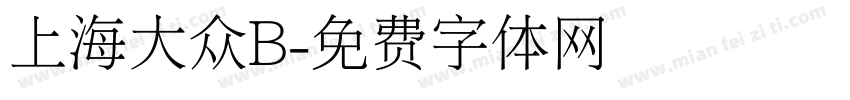 上海大众B字体转换