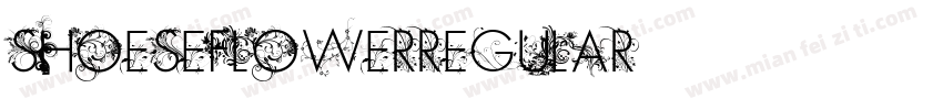 ShoeseFlowerRegular字体转换