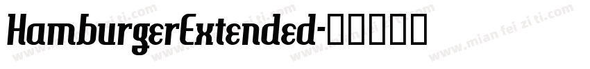 HamburgerExtended字体转换