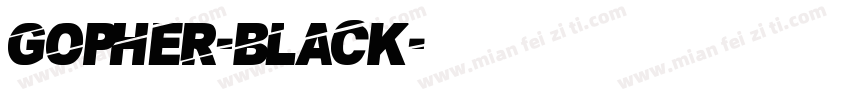GOPHER-BLACK字体转换