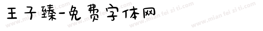 王子臻字体转换