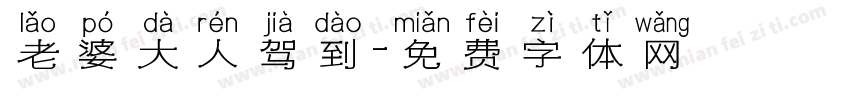 老婆大人驾到字体转换