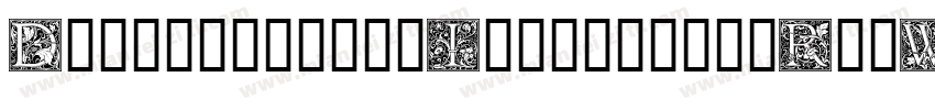 DruckschriftInitialen-RpyW字体转换