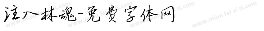 注入林魂字体转换