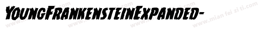 YoungFrankensteinExpanded字体转换