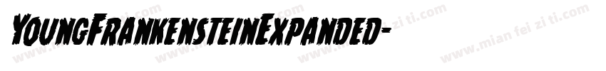YoungFrankensteinExpanded字体转换