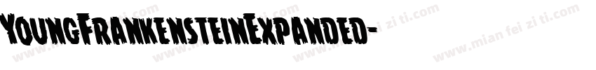YoungFrankensteinExpanded字体转换