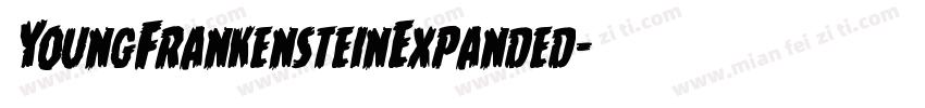 YoungFrankensteinExpanded字体转换