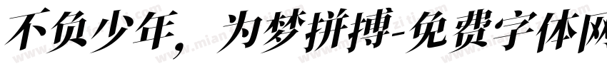 不负少年，为梦拼搏字体转换