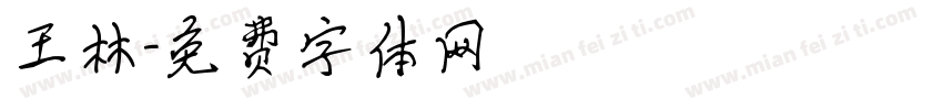 王林字体转换