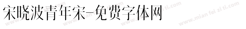 宋晓波青年宋字体转换