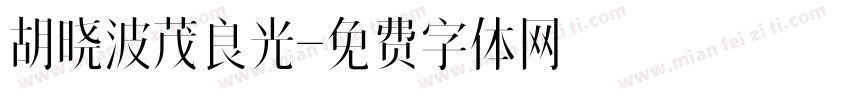 胡晓波茂良光字体转换