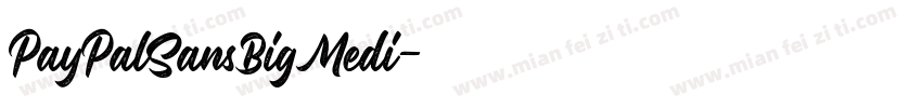 PayPalSansBigMedi字体转换