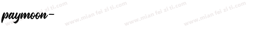 paymoon字体转换