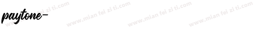 paytone字体转换