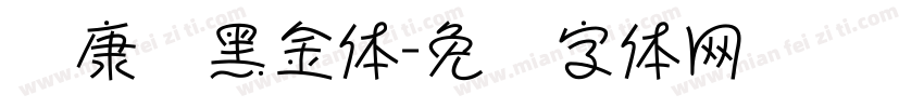 华康丽黑金体字体转换