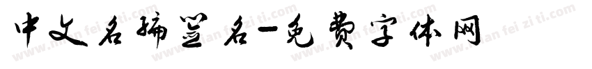 中文名编签名字体转换
