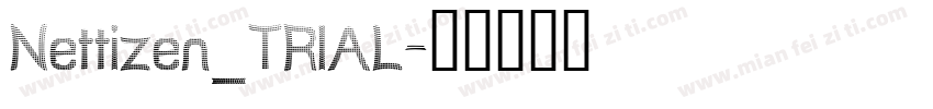 Nettizen_TRIAL字体转换