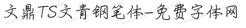 文鼎TS文青钢笔体字体转换