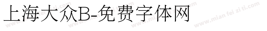 上海大众B字体转换