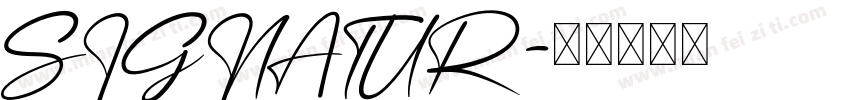 SIGNATUR字体转换