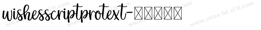 wishesscriptprotext字体转换