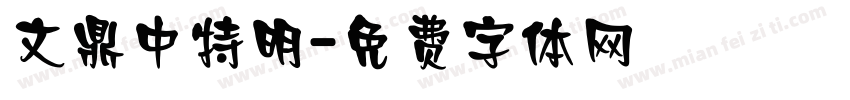 文鼎中特明字体转换