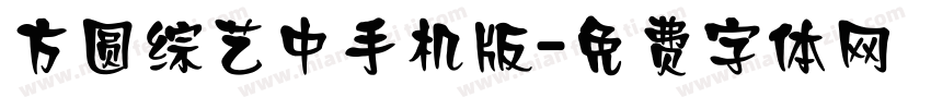 方圆综艺中手机版字体转换