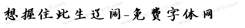 想握住此生辽阔字体转换