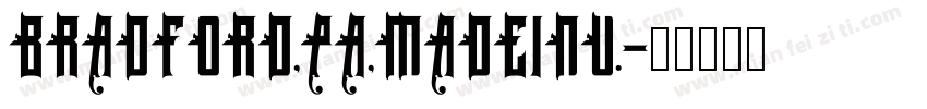 BRADFORD,PA,MADEINU.字体转换