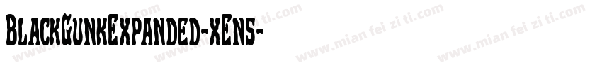 BlackGunkExpanded-xEn5字体转换