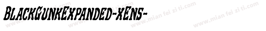 BlackGunkExpanded-xEn5字体转换
