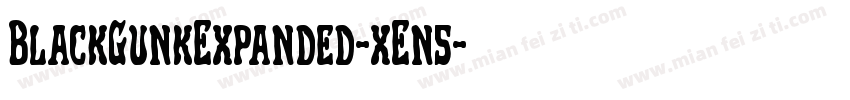 BlackGunkExpanded-xEn5字体转换