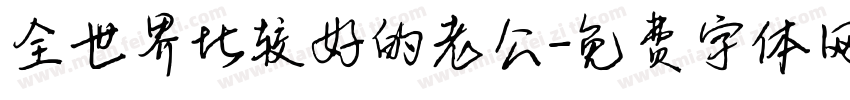 全世界比较好的老公字体转换