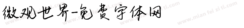 微观世界字体转换