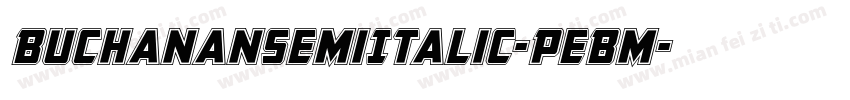 BuchananSemiItalic-PeBm字体转换