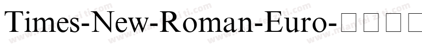 Times-New-Roman-Euro字体转换
