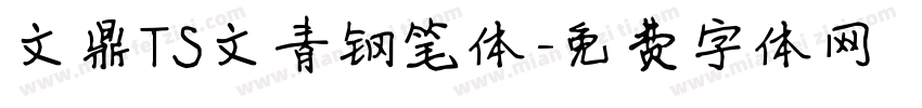 文鼎TS文青钢笔体字体转换