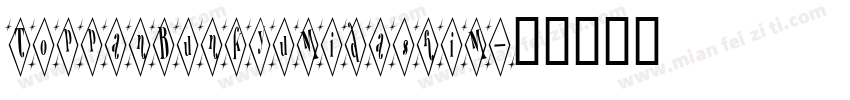 ToppanBunkyuMidashiM字体转换