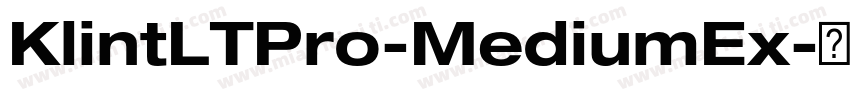 KlintLTPro-MediumEx字体转换