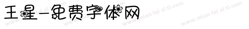 王星字体转换