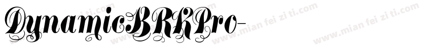 DynamicBRKPro字体转换