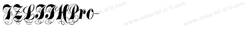 FZLTTHPro字体转换